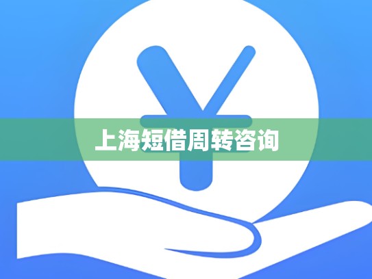 上海短借周转咨询