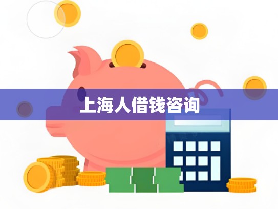 上海人借钱咨询