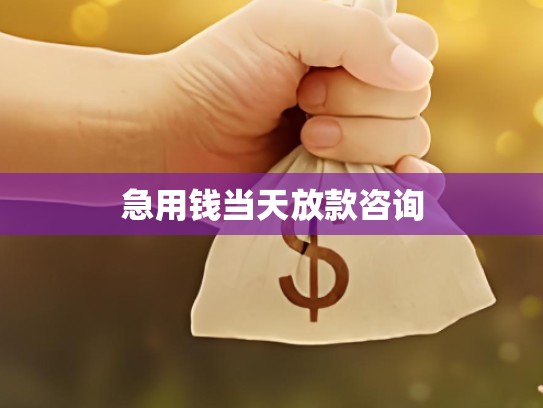 急用钱当天放款咨询