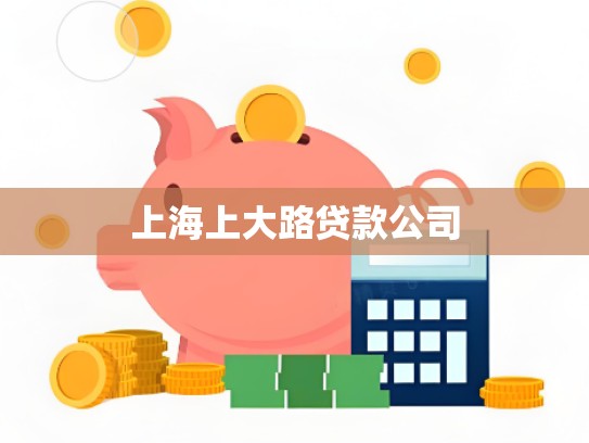 上海上大路贷款公司