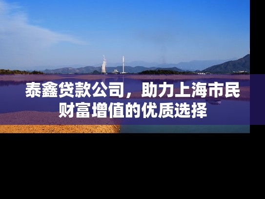泰鑫贷款公司，助力上海市民财富增值的优质选择