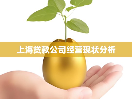 上海贷款公司经营现状分析