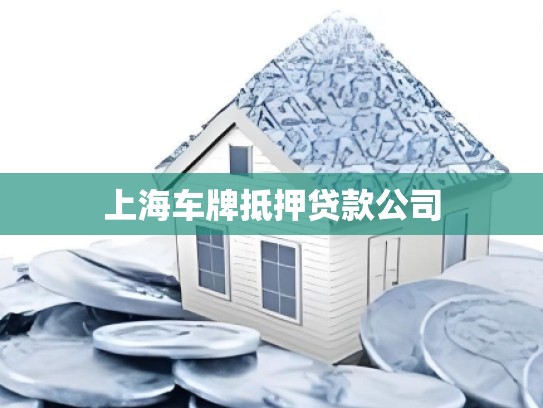 上海车牌抵押贷款公司