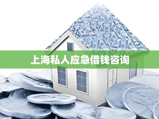 上海私人应急借钱咨询