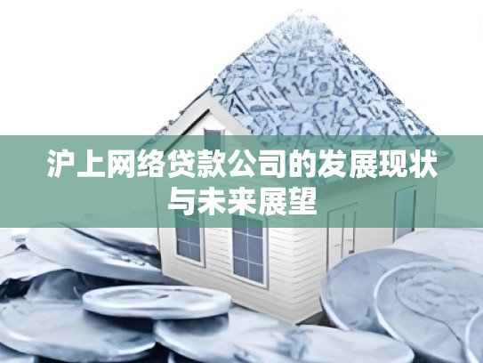 沪上网络贷款公司的发展现状与未来展望
