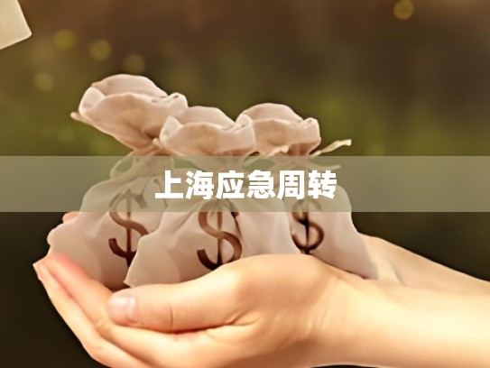 上海应急周转