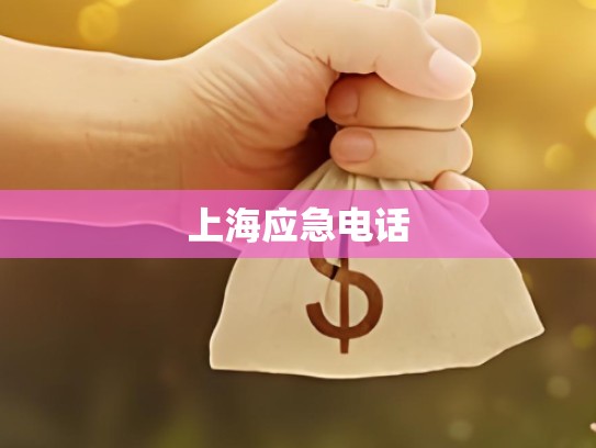 上海应急电话