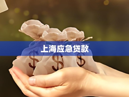 上海应急贷款