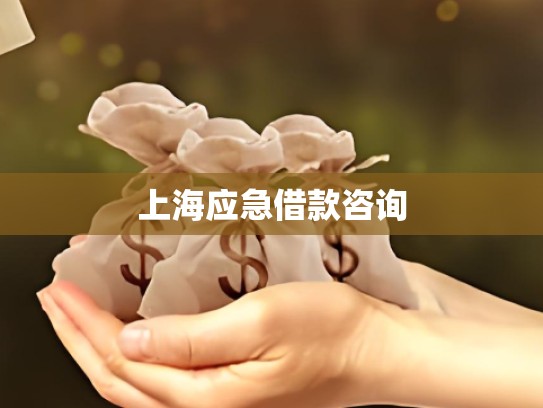 上海应急借款咨询