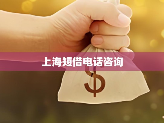 上海短借电话咨询