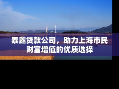 泰鑫贷款公司，助力上海市民财富增值的优质选择