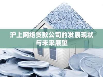 沪上网络贷款公司的发展现状与未来展望