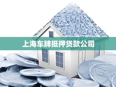 上海车牌抵押贷款公司