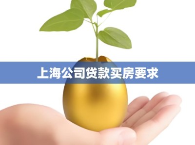 上海公司贷款买房要求