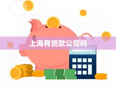 上海有贷款公司吗