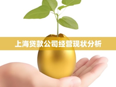 上海贷款公司经营现状分析