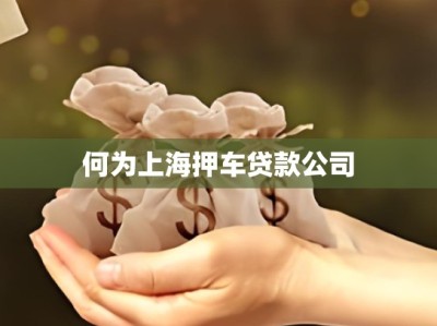 何为上海押车贷款公司
