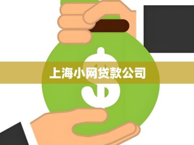 上海小网贷款公司