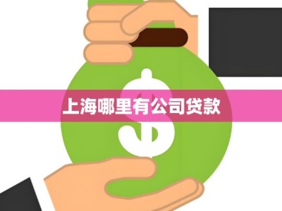 上海哪里有公司贷款
