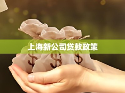 上海新公司贷款政策
